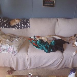 Meet your Posher, Bob